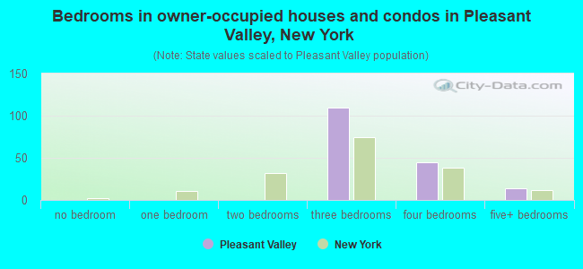 Bedrooms in owner-occupied houses and condos in Pleasant Valley, New York