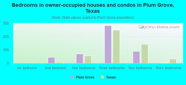 Bedrooms in owner-occupied houses and condos in Plum Grove, Texas