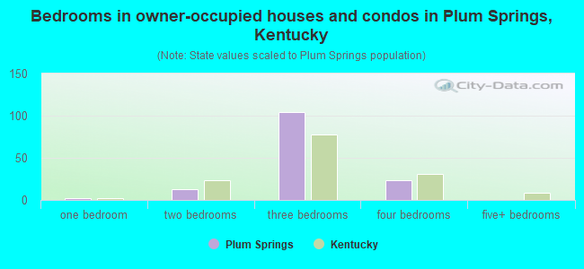 Bedrooms in owner-occupied houses and condos in Plum Springs, Kentucky