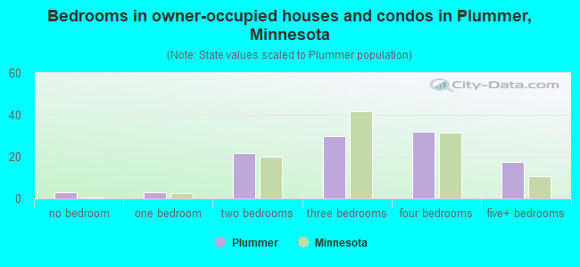 Bedrooms in owner-occupied houses and condos in Plummer, Minnesota