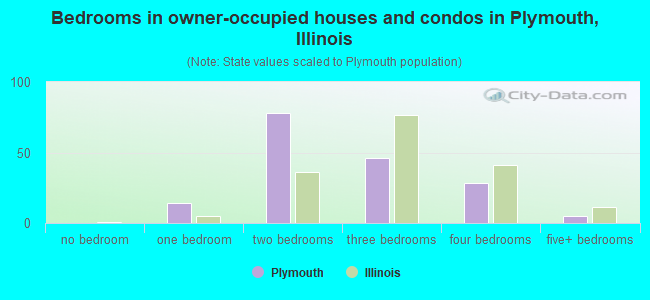 Bedrooms in owner-occupied houses and condos in Plymouth, Illinois