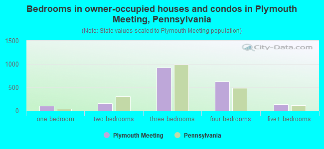 Bedrooms in owner-occupied houses and condos in Plymouth Meeting, Pennsylvania