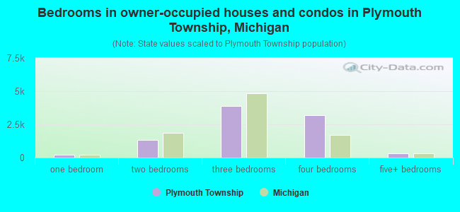 Bedrooms in owner-occupied houses and condos in Plymouth Township, Michigan