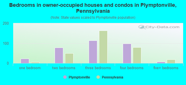 Bedrooms in owner-occupied houses and condos in Plymptonville, Pennsylvania