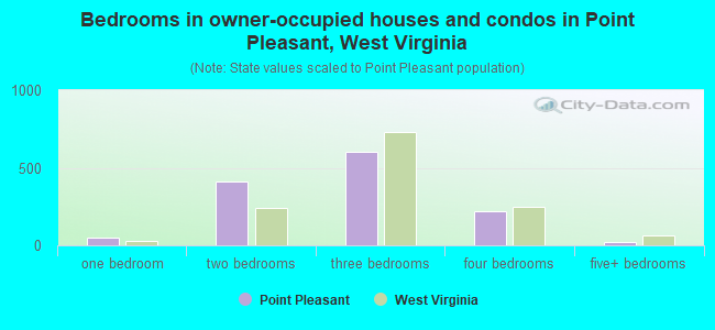 Bedrooms in owner-occupied houses and condos in Point Pleasant, West Virginia