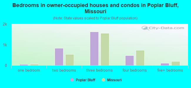 Bedrooms in owner-occupied houses and condos in Poplar Bluff, Missouri
