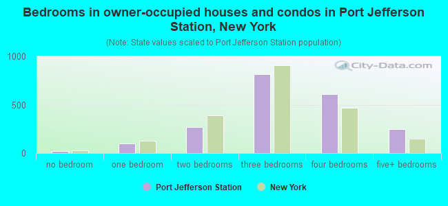 Bedrooms in owner-occupied houses and condos in Port Jefferson Station, New York