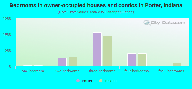 Bedrooms in owner-occupied houses and condos in Porter, Indiana