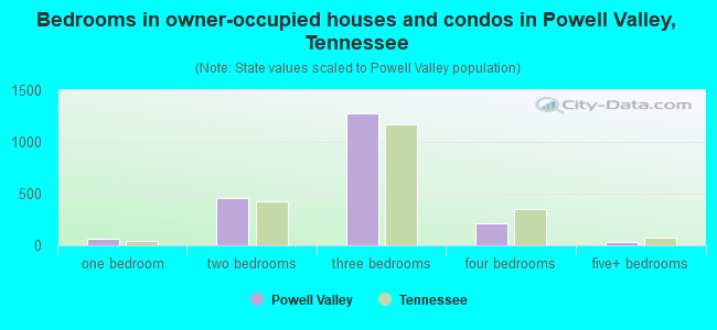 Bedrooms in owner-occupied houses and condos in Powell Valley, Tennessee