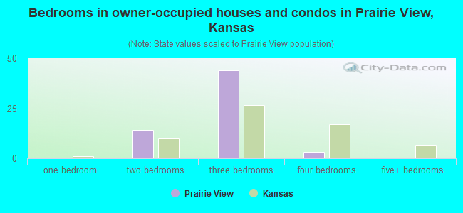 Bedrooms in owner-occupied houses and condos in Prairie View, Kansas