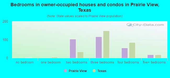 Bedrooms in owner-occupied houses and condos in Prairie View, Texas