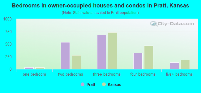 Bedrooms in owner-occupied houses and condos in Pratt, Kansas