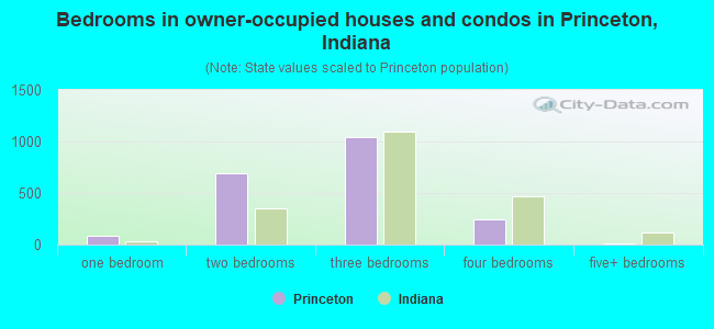 Bedrooms in owner-occupied houses and condos in Princeton, Indiana