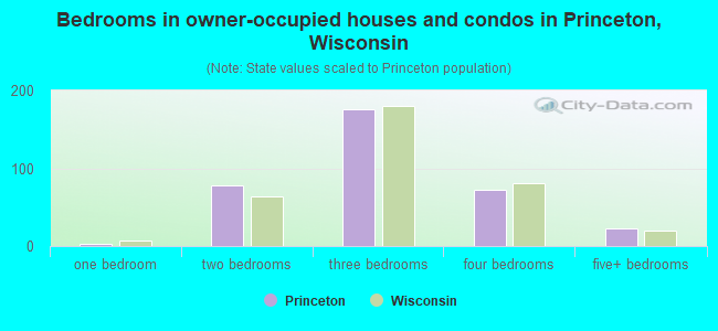 Bedrooms in owner-occupied houses and condos in Princeton, Wisconsin