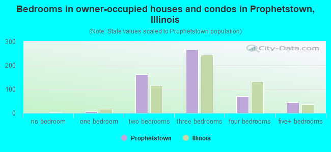 Bedrooms in owner-occupied houses and condos in Prophetstown, Illinois