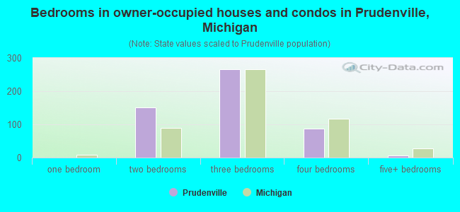 Bedrooms in owner-occupied houses and condos in Prudenville, Michigan