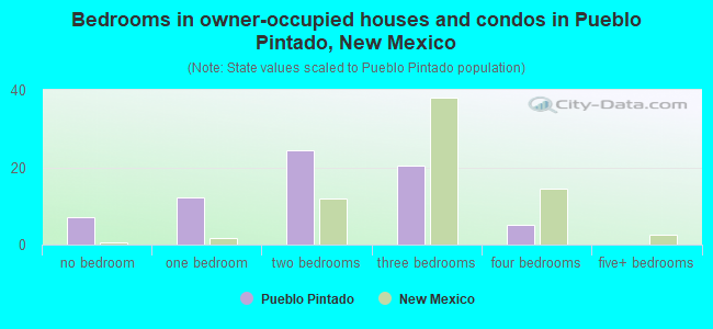 Bedrooms in owner-occupied houses and condos in Pueblo Pintado, New Mexico
