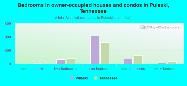 Bedrooms in owner-occupied houses and condos in Pulaski, Tennessee
