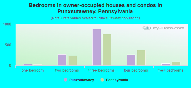 Bedrooms in owner-occupied houses and condos in Punxsutawney, Pennsylvania