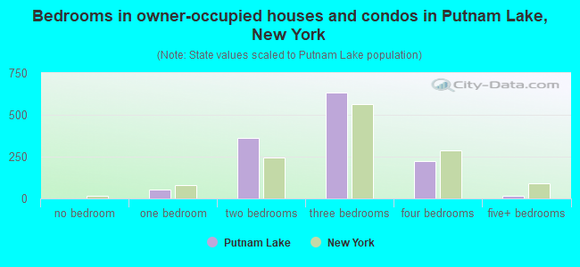 Bedrooms in owner-occupied houses and condos in Putnam Lake, New York