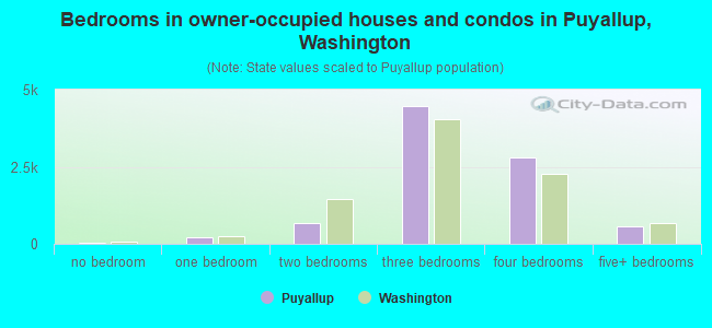 Bedrooms in owner-occupied houses and condos in Puyallup, Washington