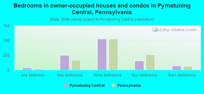 Bedrooms in owner-occupied houses and condos in Pymatuning Central, Pennsylvania