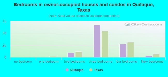 Bedrooms in owner-occupied houses and condos in Quitaque, Texas