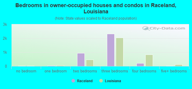Bedrooms in owner-occupied houses and condos in Raceland, Louisiana