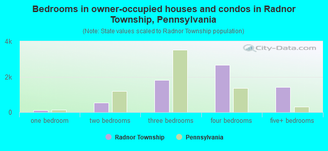 Bedrooms in owner-occupied houses and condos in Radnor Township, Pennsylvania