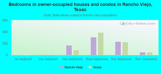 Bedrooms in owner-occupied houses and condos in Rancho Viejo, Texas