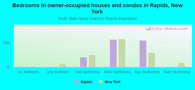 Bedrooms in owner-occupied houses and condos in Rapids, New York