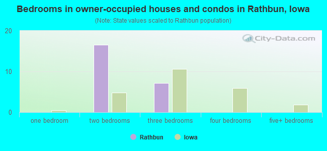 Bedrooms in owner-occupied houses and condos in Rathbun, Iowa