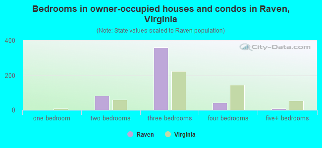 Bedrooms in owner-occupied houses and condos in Raven, Virginia
