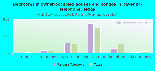 Bedrooms in owner-occupied houses and condos in Ravenna-Telephone, Texas