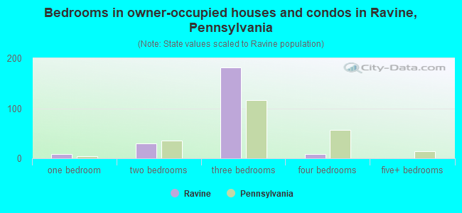 Bedrooms in owner-occupied houses and condos in Ravine, Pennsylvania