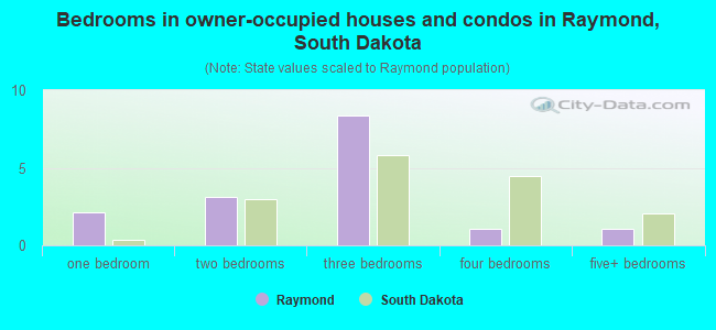 Bedrooms in owner-occupied houses and condos in Raymond, South Dakota