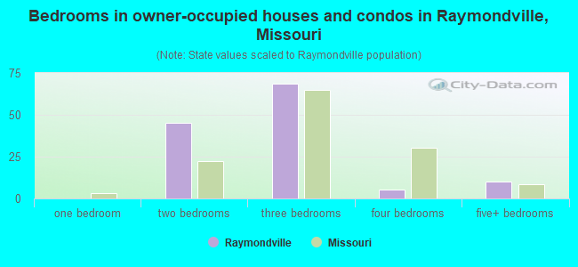 Bedrooms in owner-occupied houses and condos in Raymondville, Missouri