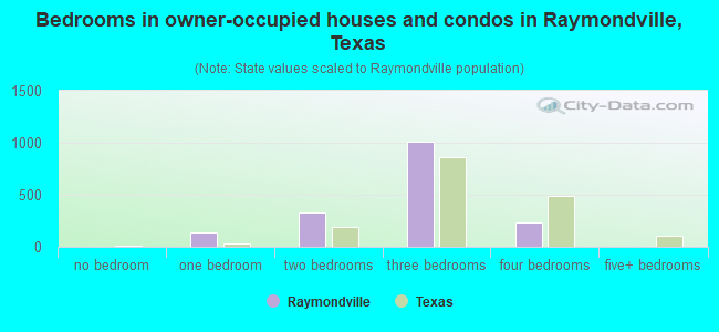 Bedrooms in owner-occupied houses and condos in Raymondville, Texas