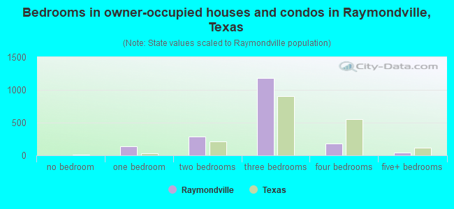 Bedrooms in owner-occupied houses and condos in Raymondville, Texas