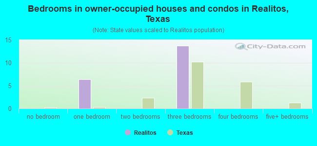 Bedrooms in owner-occupied houses and condos in Realitos, Texas