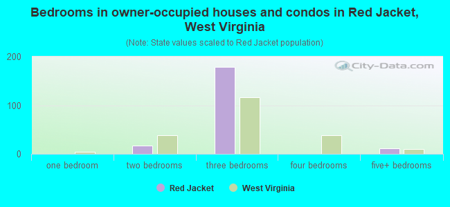Bedrooms in owner-occupied houses and condos in Red Jacket, West Virginia