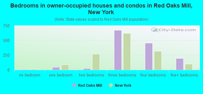 Bedrooms in owner-occupied houses and condos in Red Oaks Mill, New York