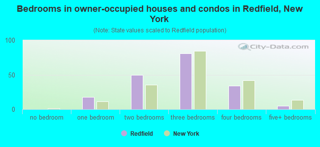 Bedrooms in owner-occupied houses and condos in Redfield, New York