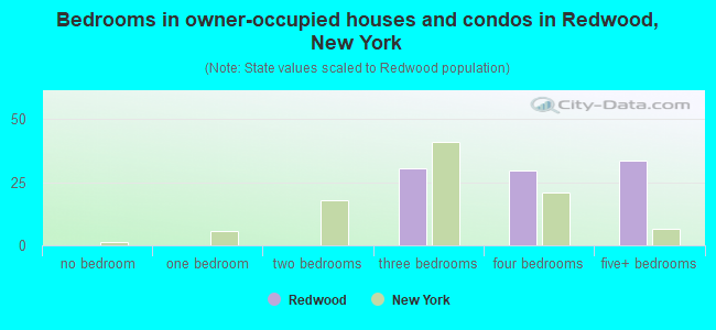Bedrooms in owner-occupied houses and condos in Redwood, New York