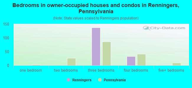 Bedrooms in owner-occupied houses and condos in Renningers, Pennsylvania