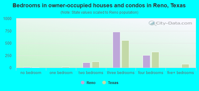 Bedrooms in owner-occupied houses and condos in Reno, Texas