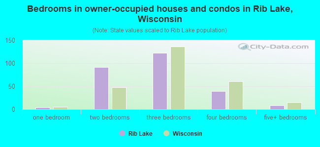 Bedrooms in owner-occupied houses and condos in Rib Lake, Wisconsin