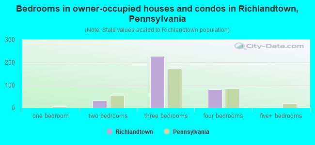 Bedrooms in owner-occupied houses and condos in Richlandtown, Pennsylvania
