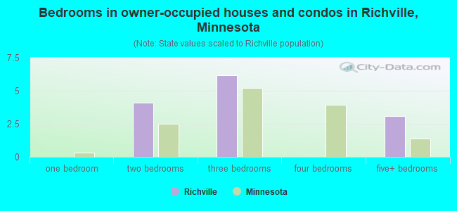 Bedrooms in owner-occupied houses and condos in Richville, Minnesota