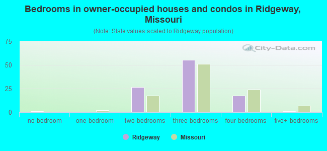 Bedrooms in owner-occupied houses and condos in Ridgeway, Missouri
